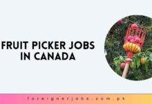 Fruit Picker Jobs in Canada