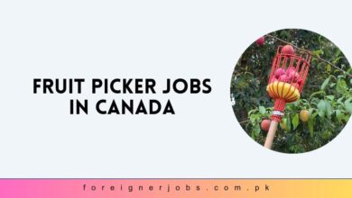 Fruit Picker Jobs in Canada