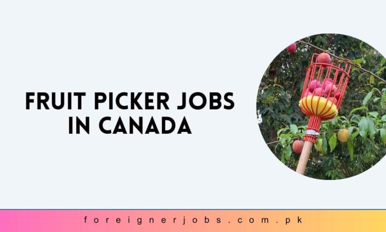 Fruit Picker Jobs in Canada