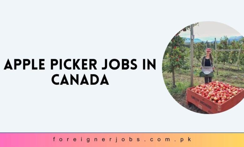 Apple Picker Jobs in Canada