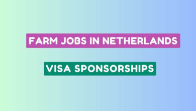 Farm Jobs in Netherlands