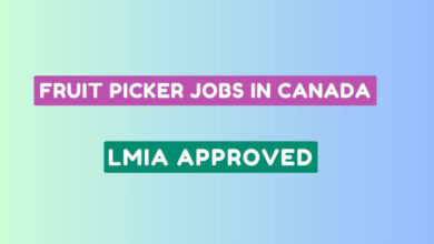 Fruit Picker Jobs in Canada