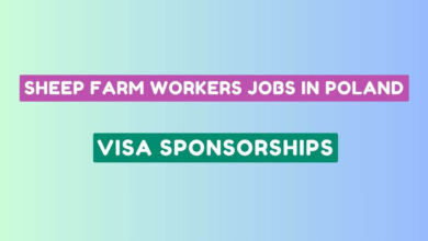 Sheep Farm Workers Jobs in Poland