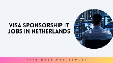 Visa Sponsorship IT Jobs in Netherlands