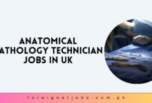 Anatomical Pathology Technician Jobs in UK