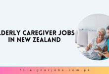 Elderly Caregiver Jobs in New Zealand