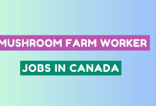 Mushroom Farm Worker Jobs in Canada