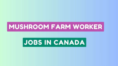 Mushroom Farm Worker Jobs in Canada