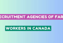 Recruitment Agencies of Farm Workers in Canada